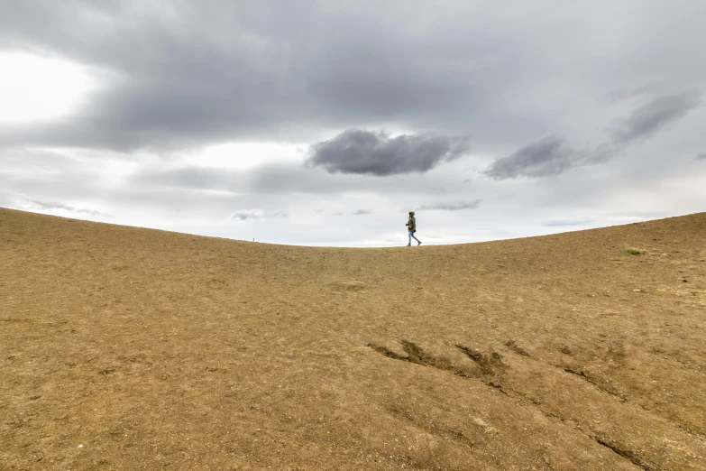 the person is flying a kite in the field