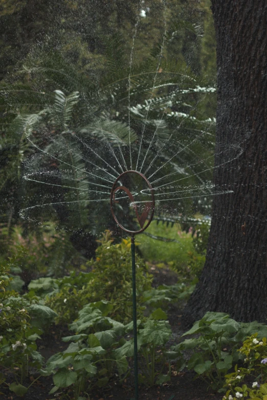 a metal object that is in front of a tree