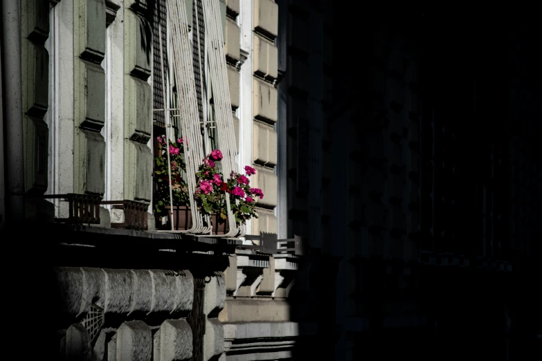 flowers that are sitting on some windowsills