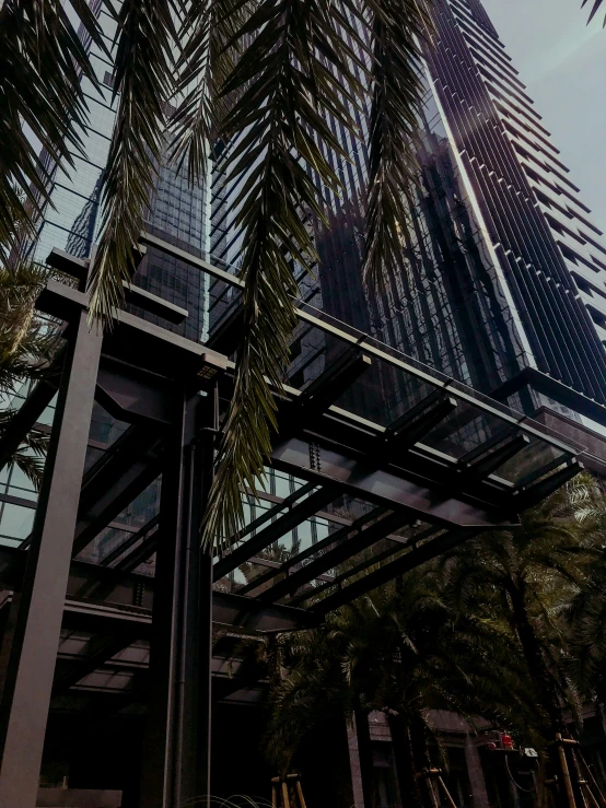 tall buildings under an artificial palm tree in the sun