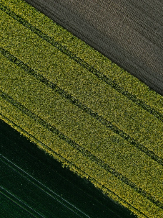 aerial view of a lone horse riding an unpaved track