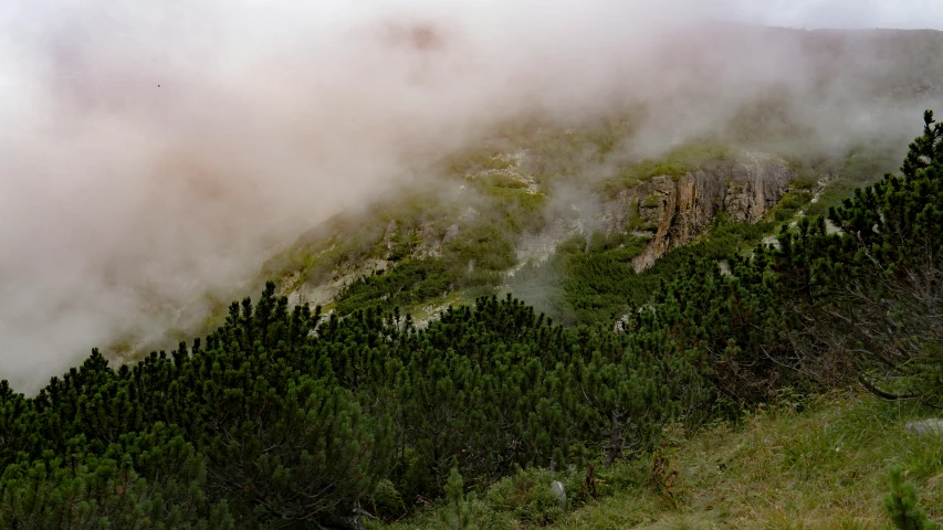 a large mountain with trees on the side of it