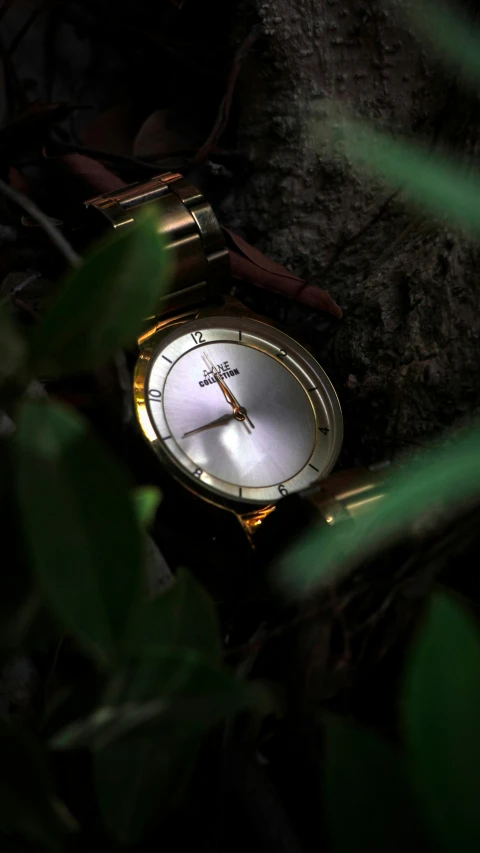 a gold colored analog watch sitting on the ground by a tree