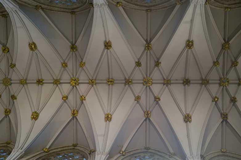 an overhead view of an ornate ceiling in a cathedral