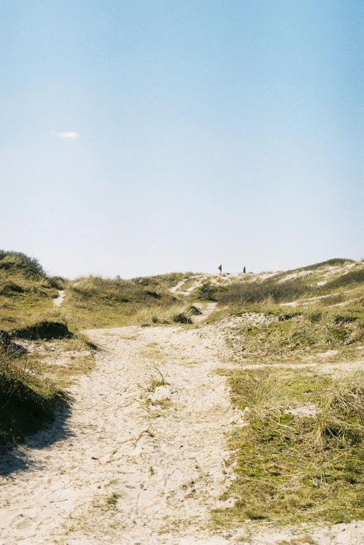 a couple standing on a sandy beach next to grass