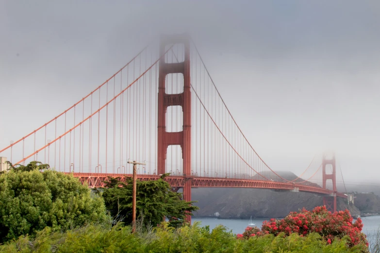 the golden gate bridge is surrounded by fog