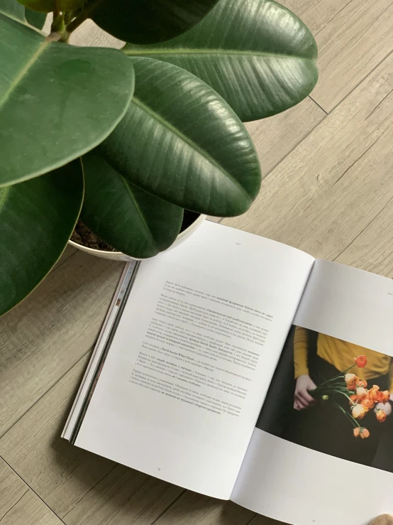 someone holding a plant in their hands next to an open book