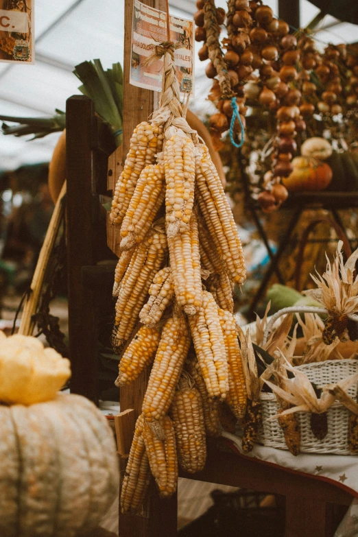 corn hanging from hooks and other vegetable items