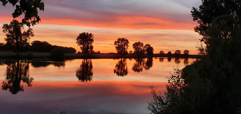 colorful sunset over a pond and trees near water