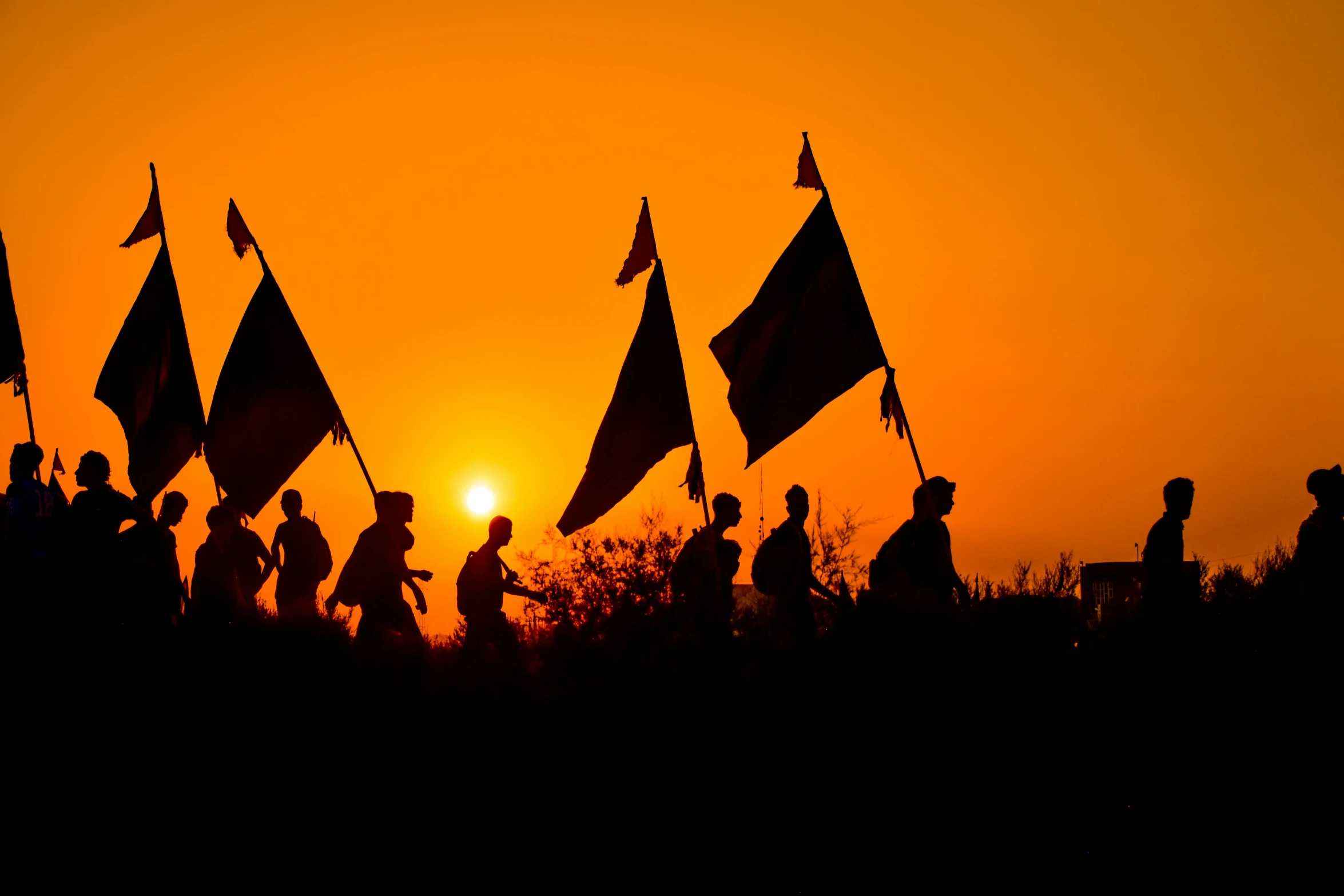 a group of people with flags at sunset