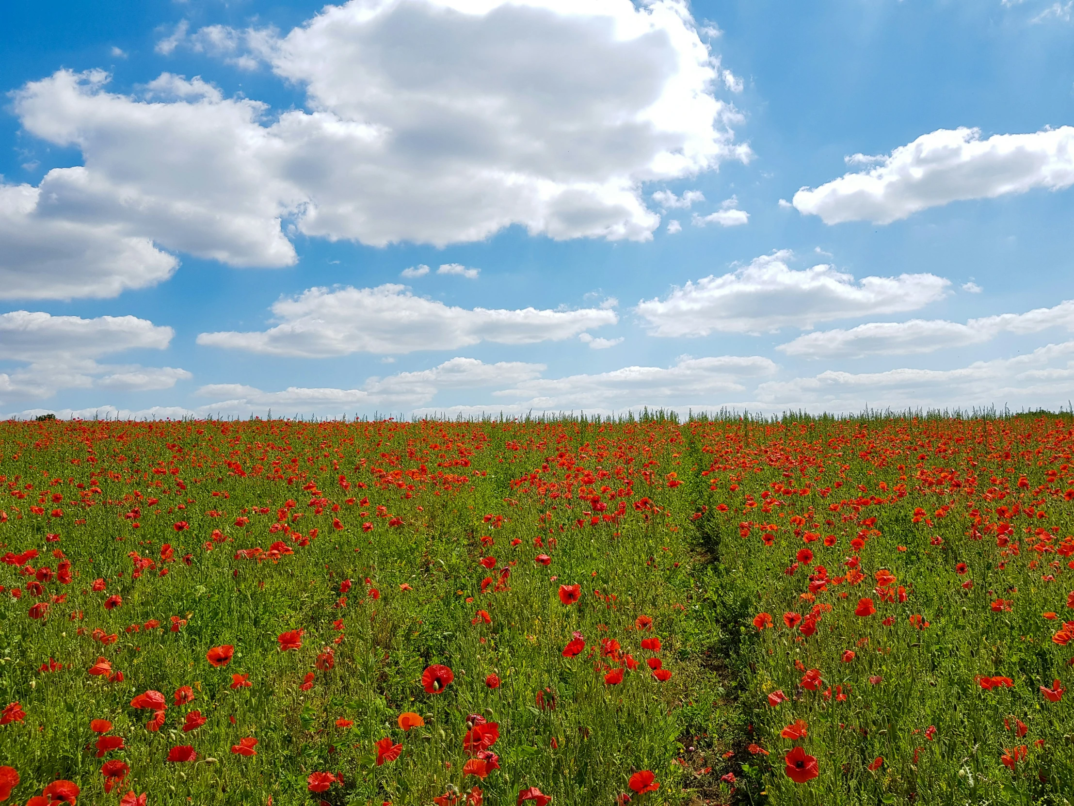 the sky is filled with clouds and is full of bright colors