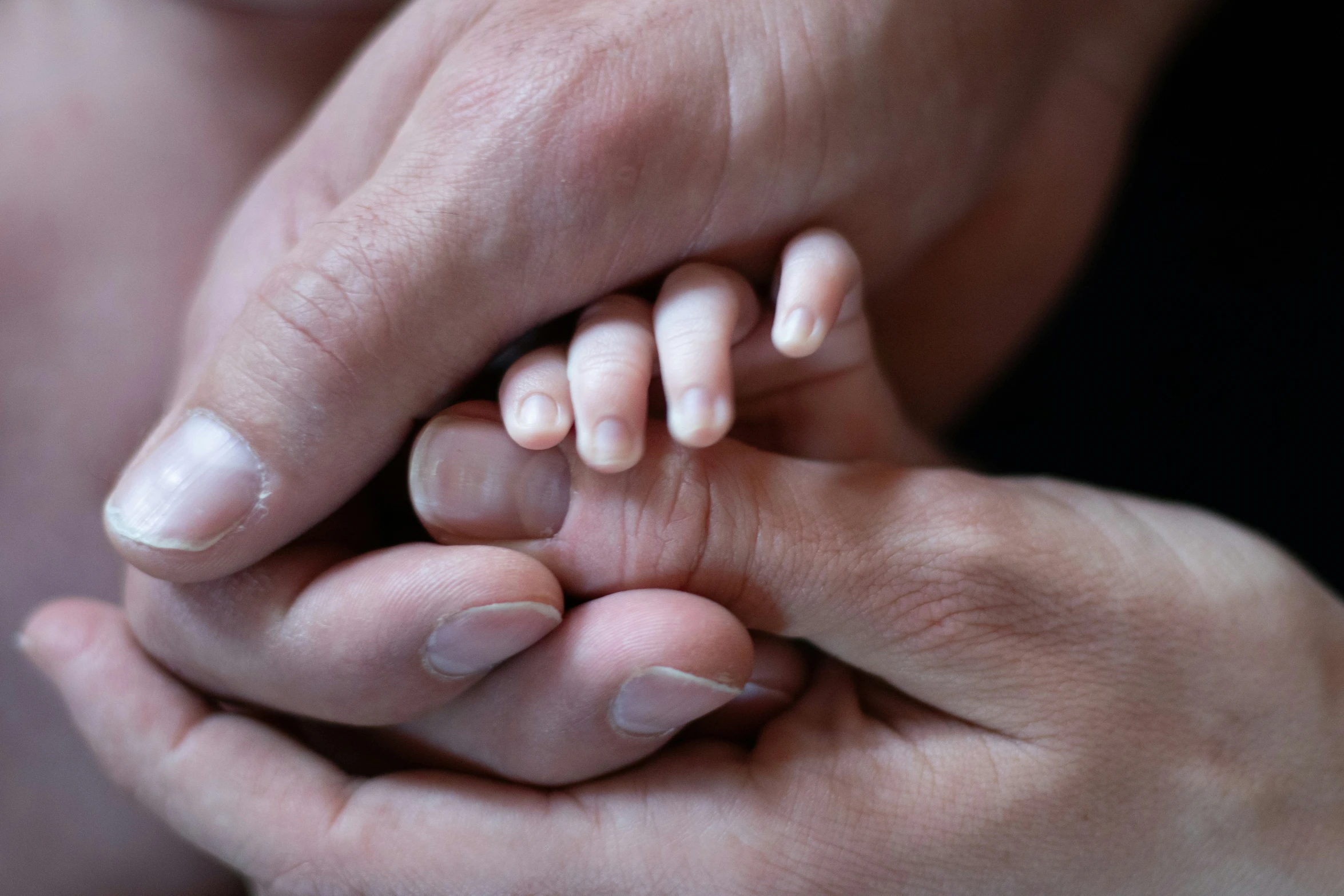 two adults holding each other with one hand