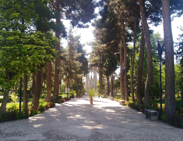 trees line the walkway between a walkway and park