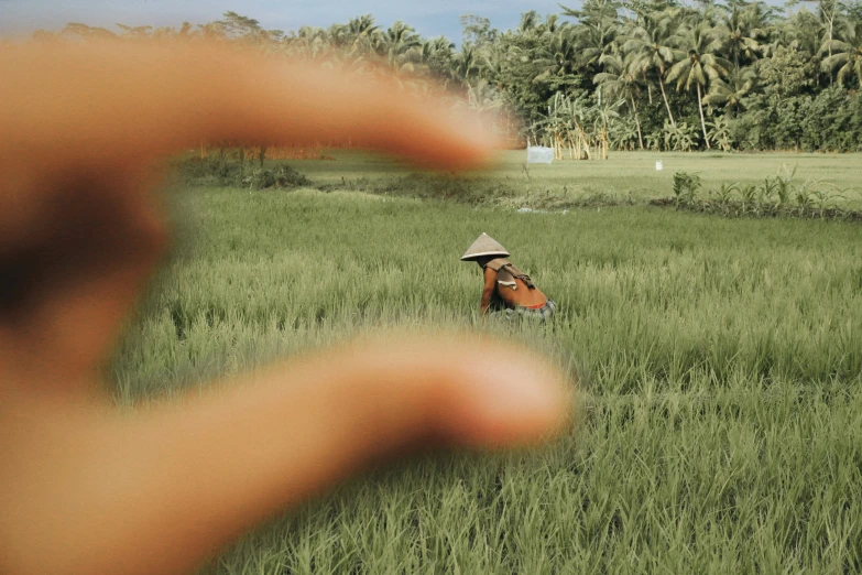 a man walking across a lush green field