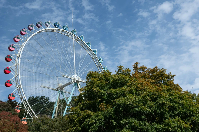 an amut ferris wheel is surrounded by trees