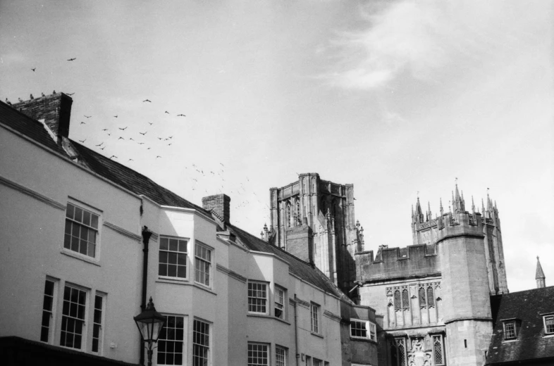 a flock of birds flys past some buildings