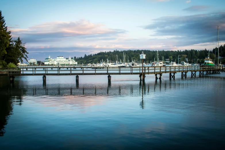 a dock surrounded by lots of docked boats