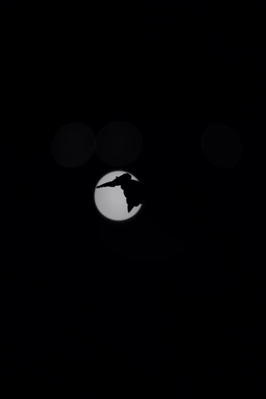 a night time view of a full moon with the silhouette of a flying bird