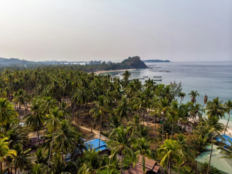 the island sits in a large body of water surrounded by palm trees