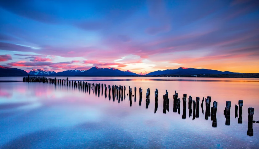 a body of water with a bunch of poles sticking out of it