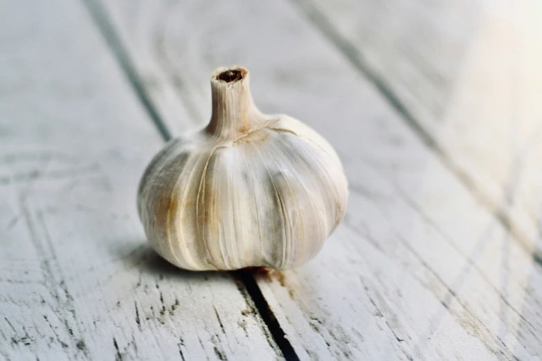 a close - up image of an onion and a garlic on the ground