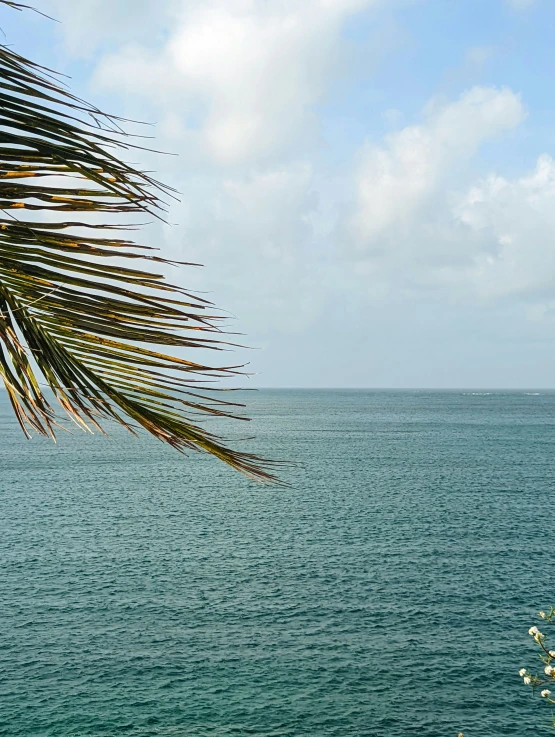 the view of a body of water from a boat