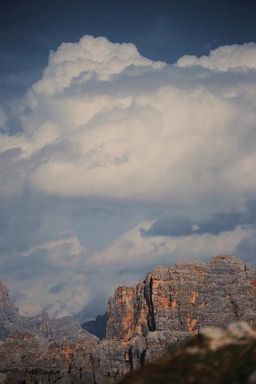 a bird is standing on rocks in the mountains