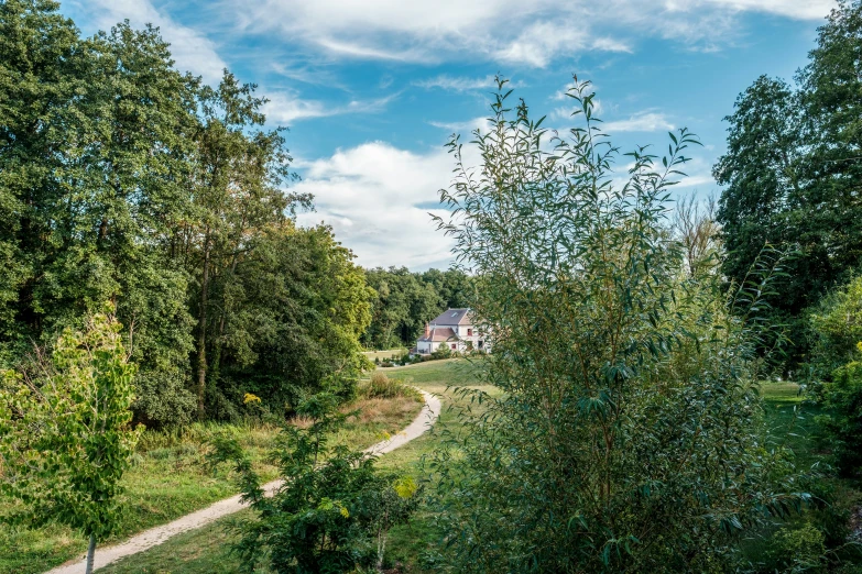 a long path leading into a home surrounded by trees