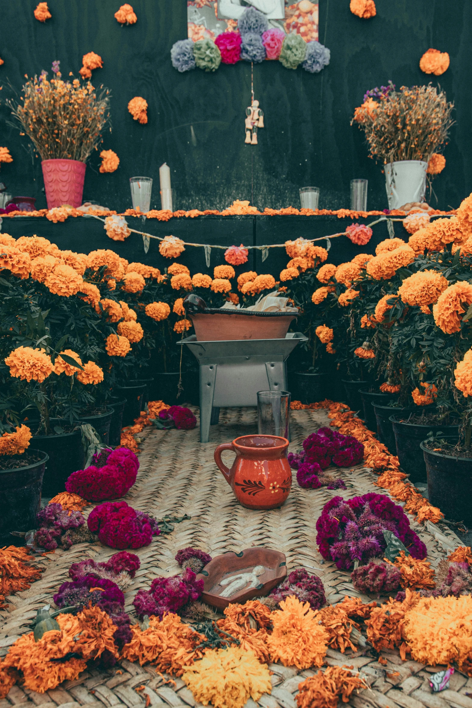 a group of orange flowers in a room