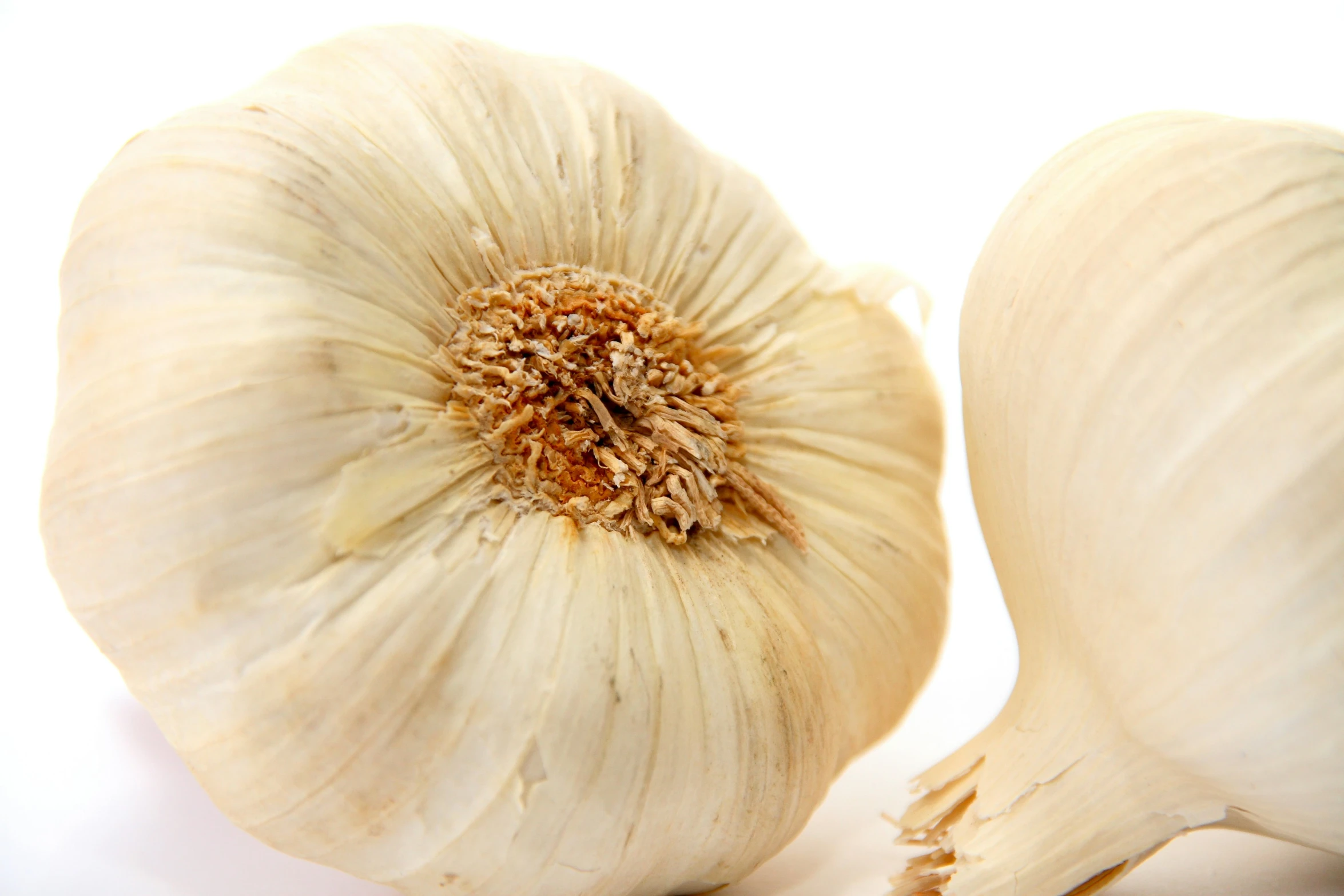 two pieces of garlic sitting next to each other