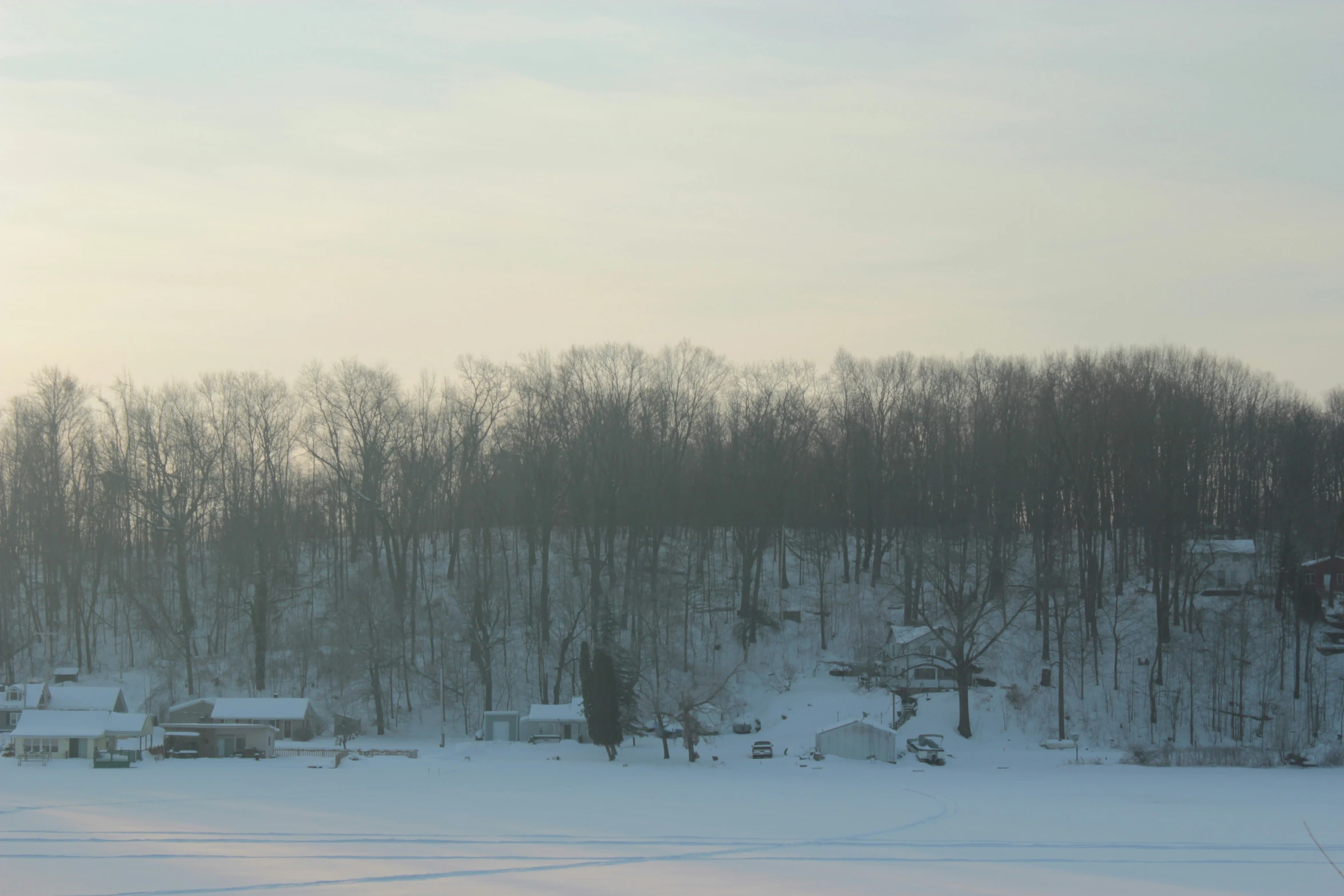 a group of houses near trees covered in snow