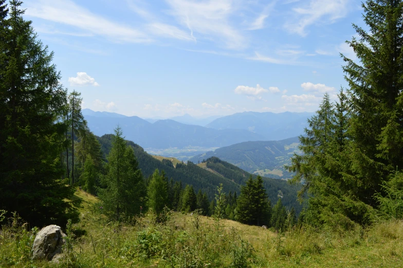 the view of the mountains from near some trees