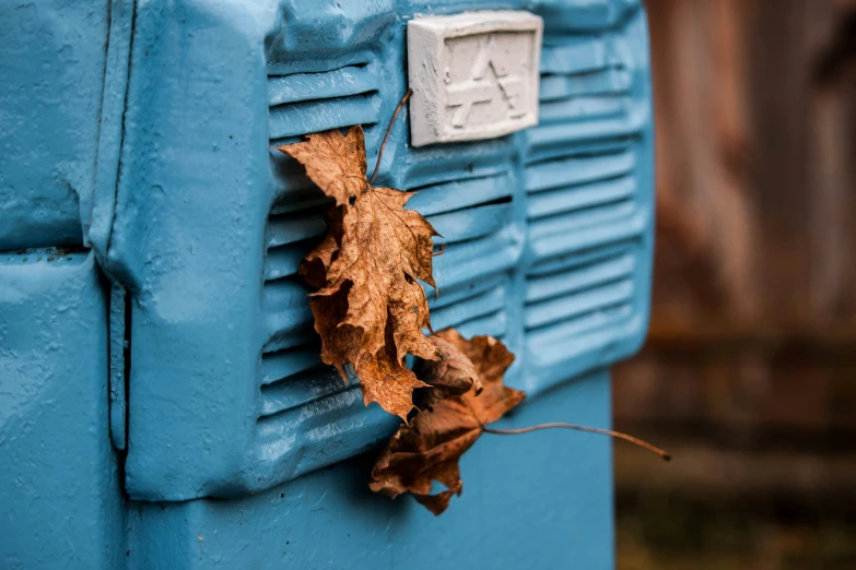 there is a brown leaf on the front of the mailbox