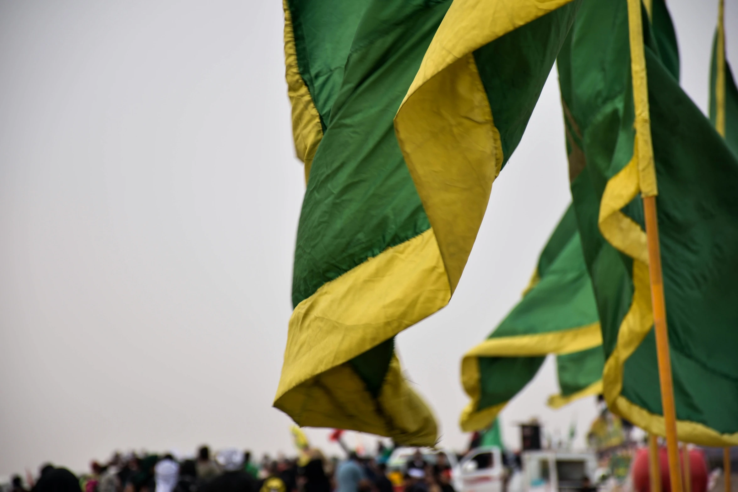 many people gather together holding flags in the background