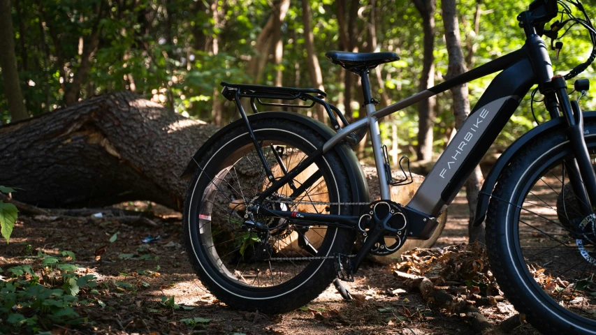 the bike is parked on the trail near the tree