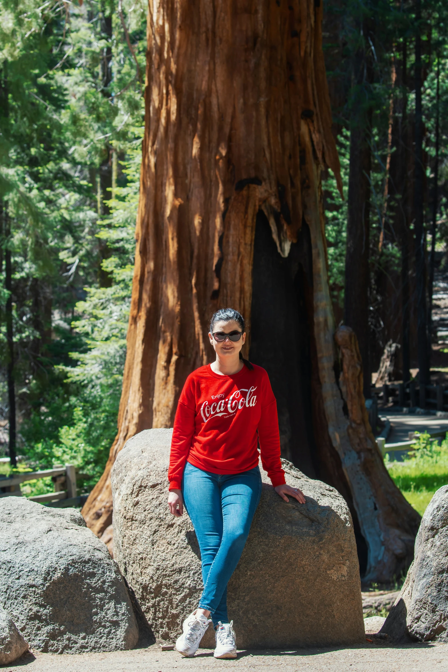 a woman in red shirt sitting on large boulder next to large tree