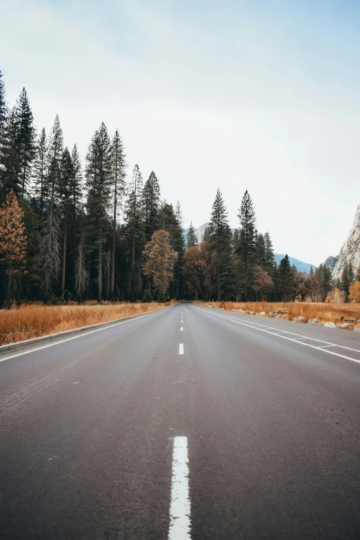 a view of the road from the middle of the road