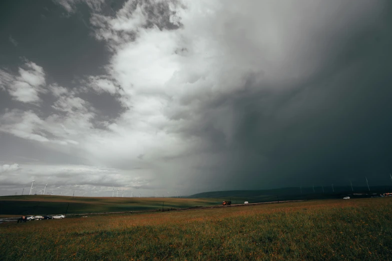 a group of sheep standing in a field under clouds