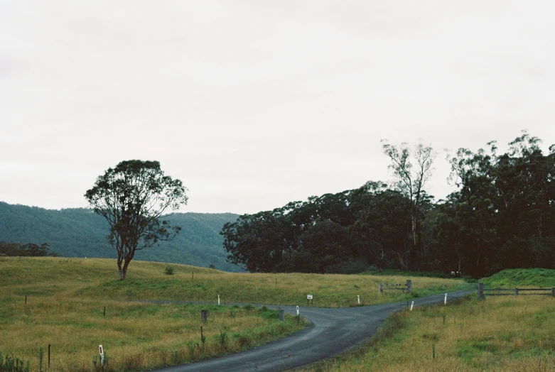 a green and grassy hillside with a curve in the road