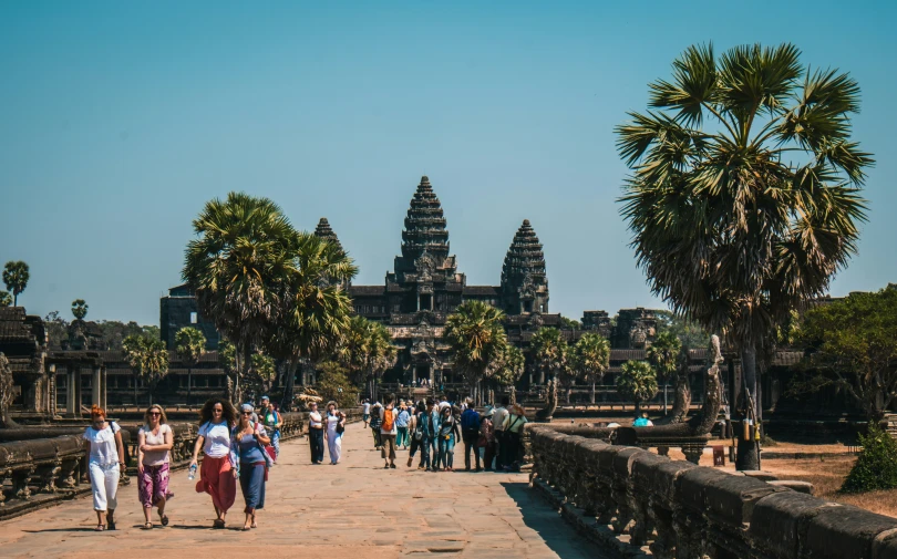 a group of people walking on the walkway near some palm trees