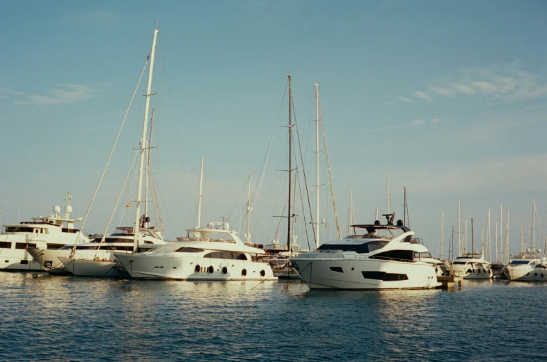 several white boats are in the water at the marina