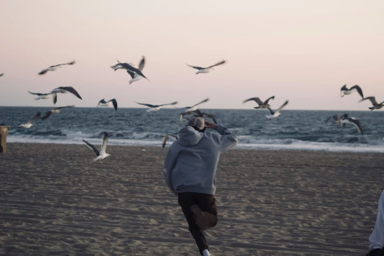 man running on the beach surrounded by seagulls