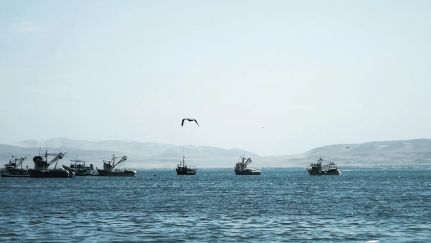 fishing boats are in the open waters together