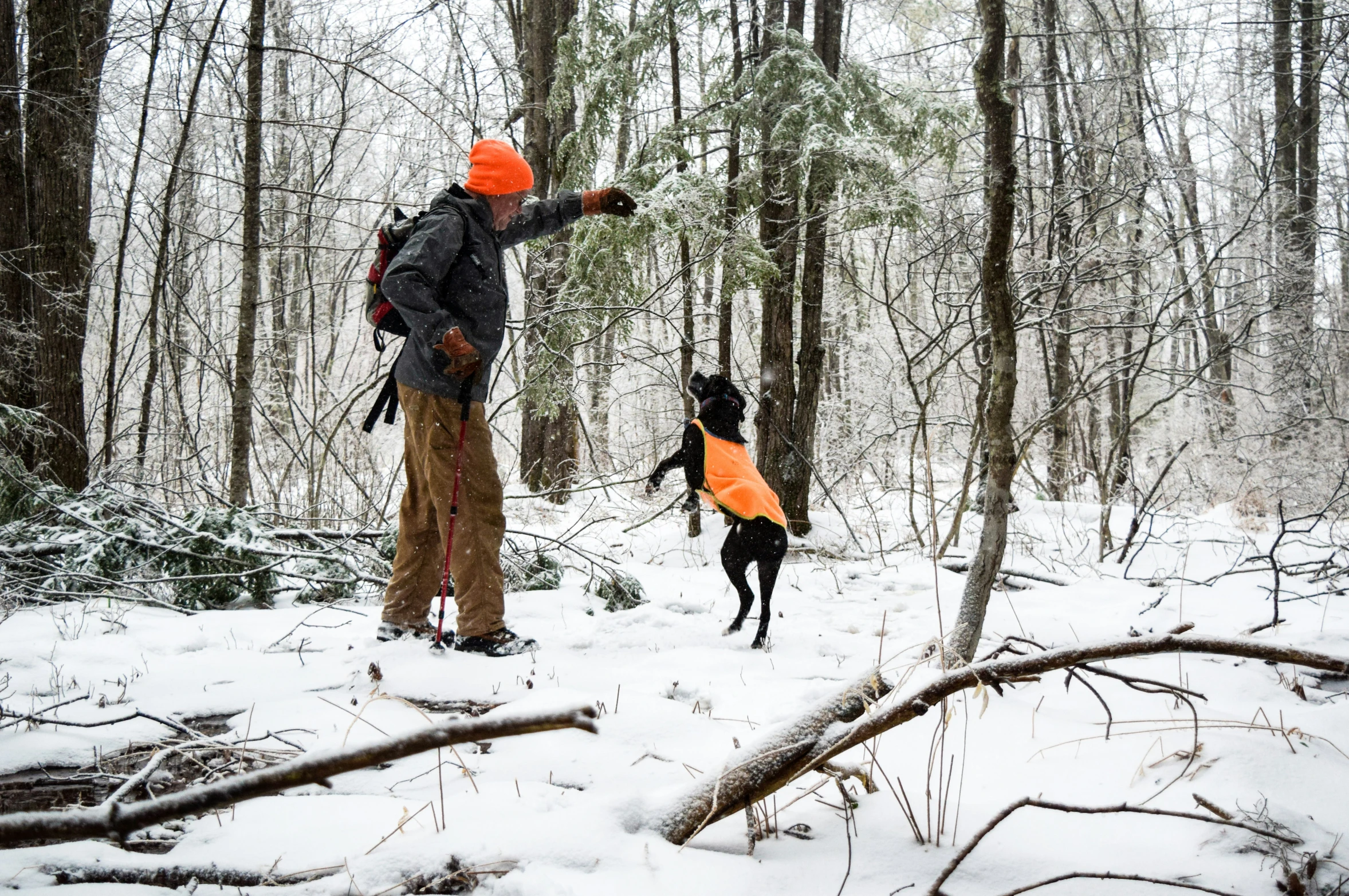 a man wearing a ski jacket and hat pointing to a dog with an orange vest