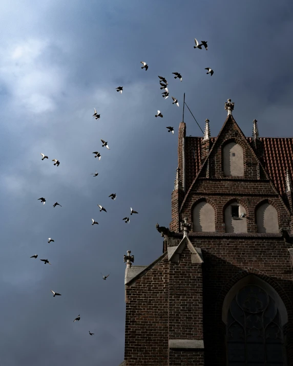 birds in flight over a very tall building