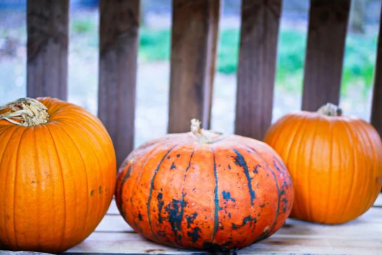 three pumpkins are on the table next to each other