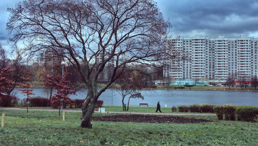 an open park next to a lake near some apartment buildings