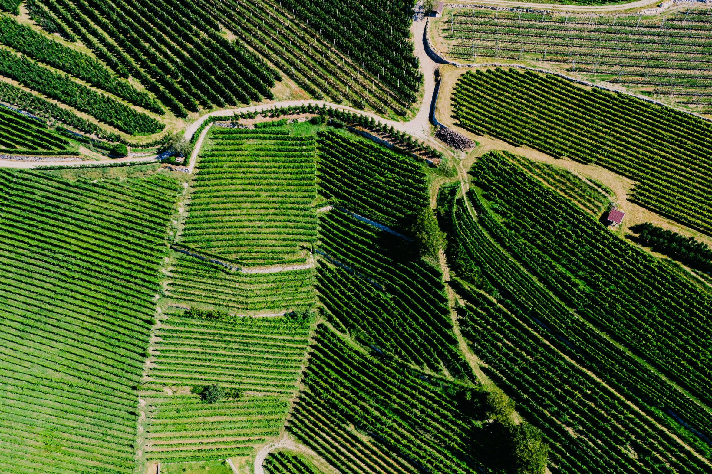 a picture from an aerial view of an area in the country with lots of trees