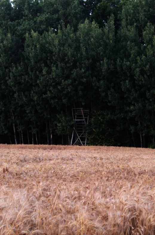 a lone chair sits in an open field