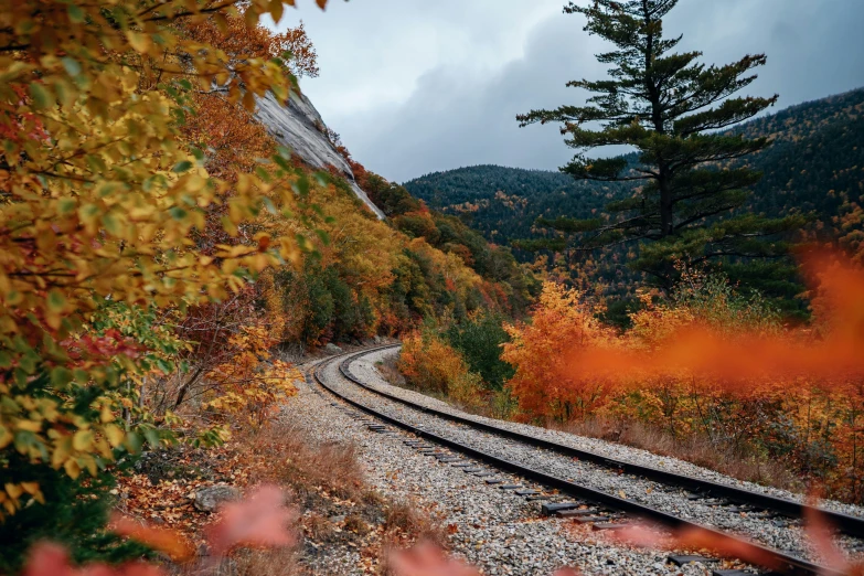 a train track with trees near it on an overcast day